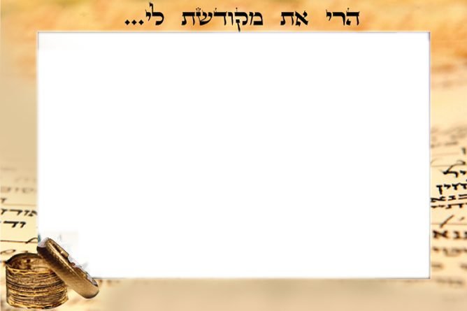 מסגרת חתונה 204